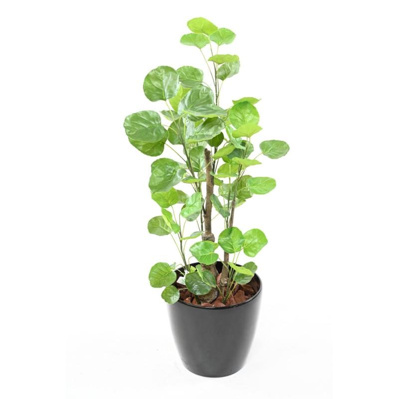Aralia Fabian artificiel vert avec tronc en PE et pot en PVC