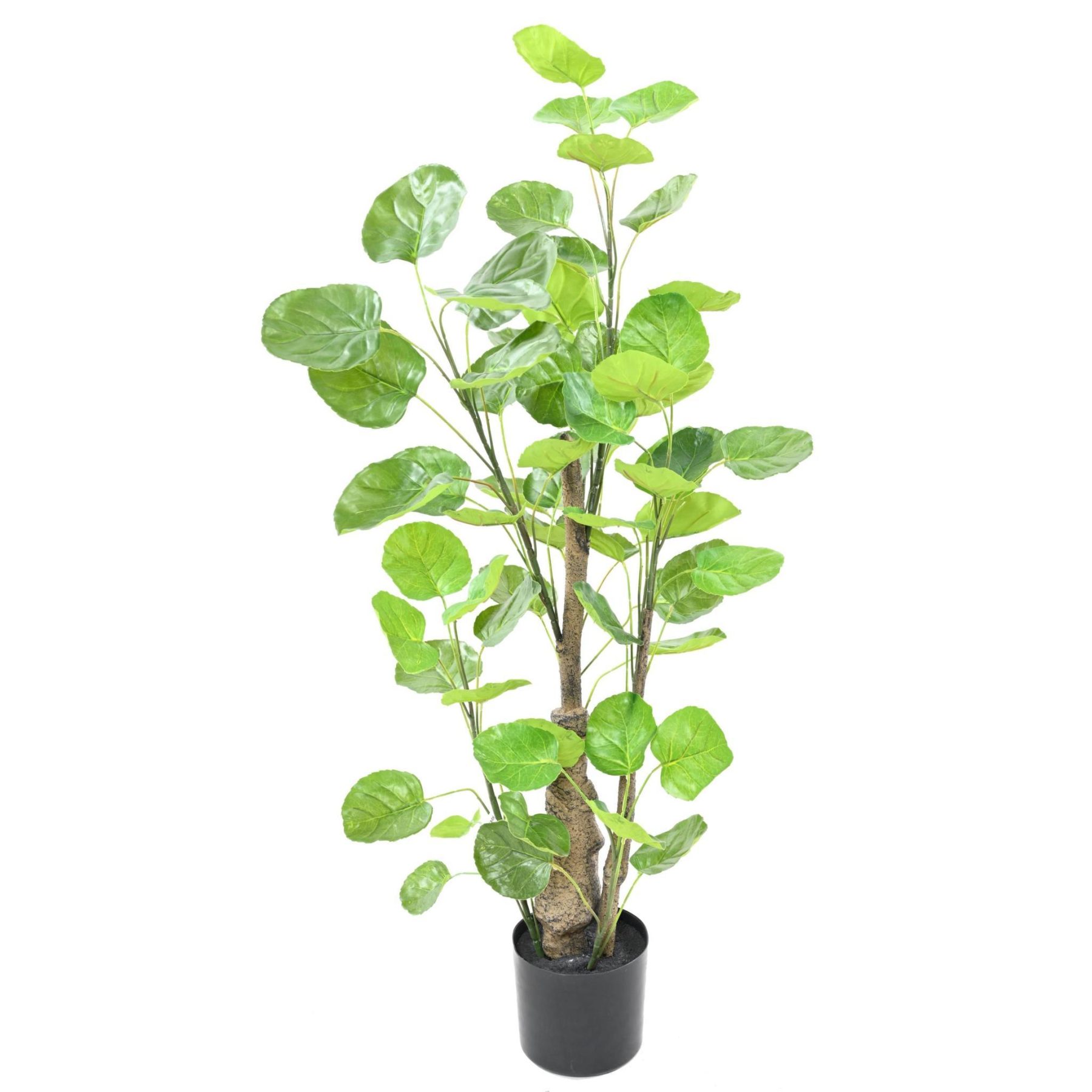 Vue complémentaire : aralia Fabian artificiel vert avec tronc en PE et pot en PVC