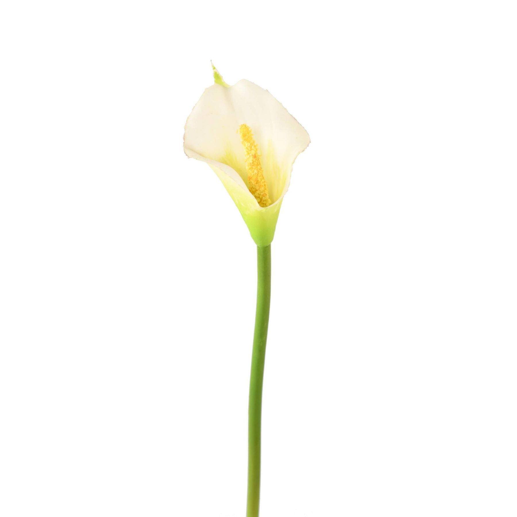 Vue complémentaire : arum artificiel à fleur blanche en PE sur tige