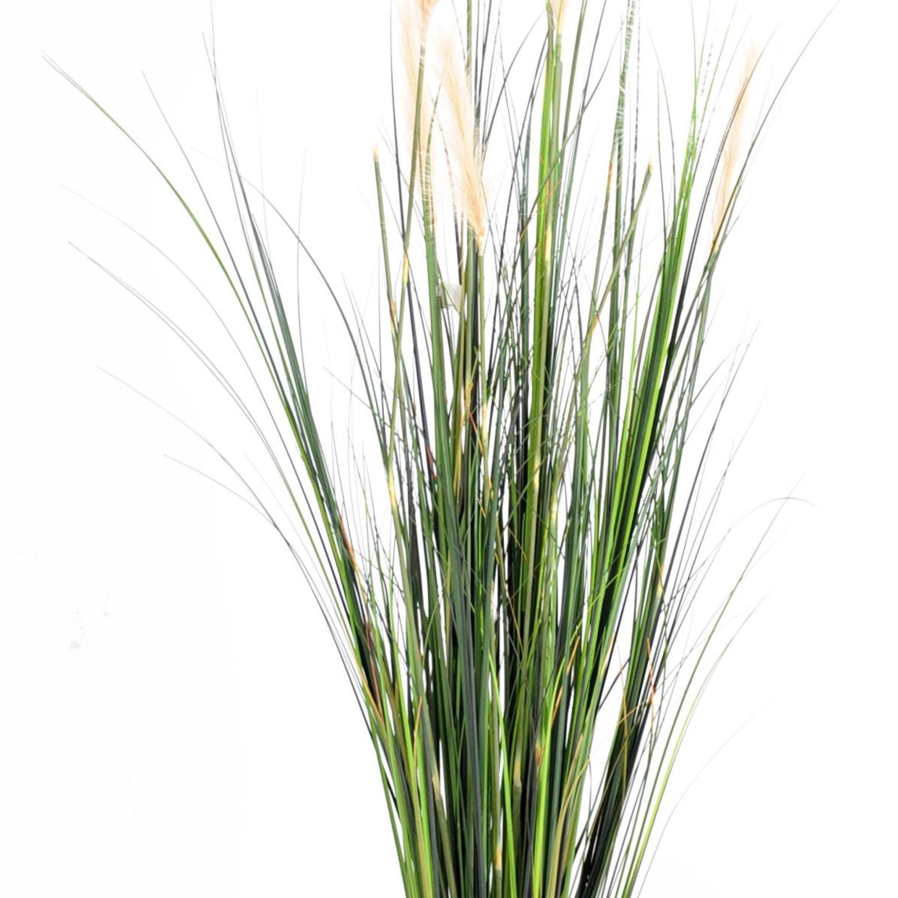 Vue complémentaire : carex GF artificiel avec fleurs blanches et beiges et pot en PVC