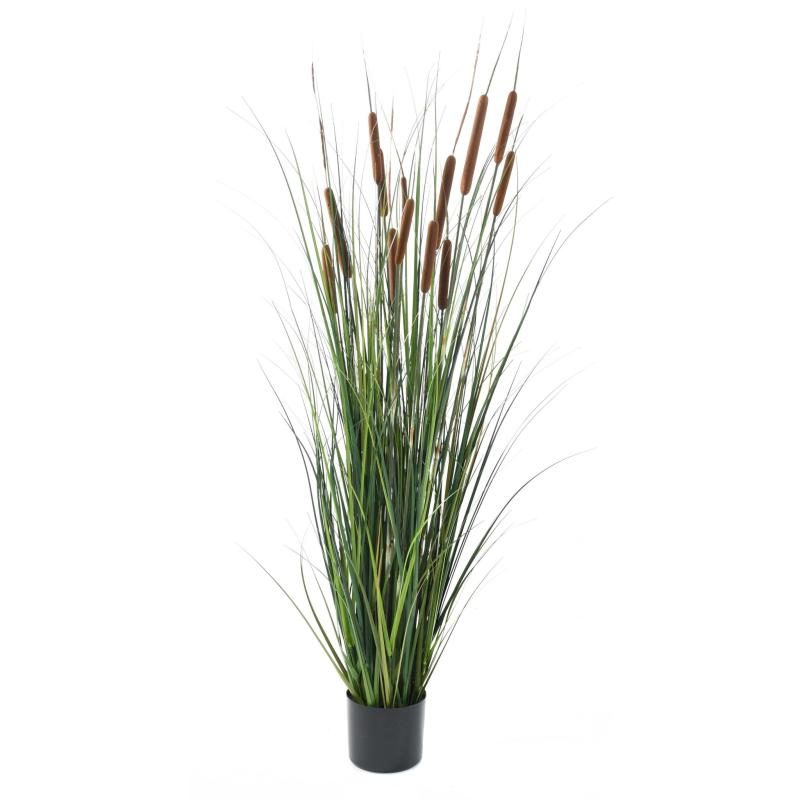 Graminée Cattail artificielle verte avec son contenant en PVC