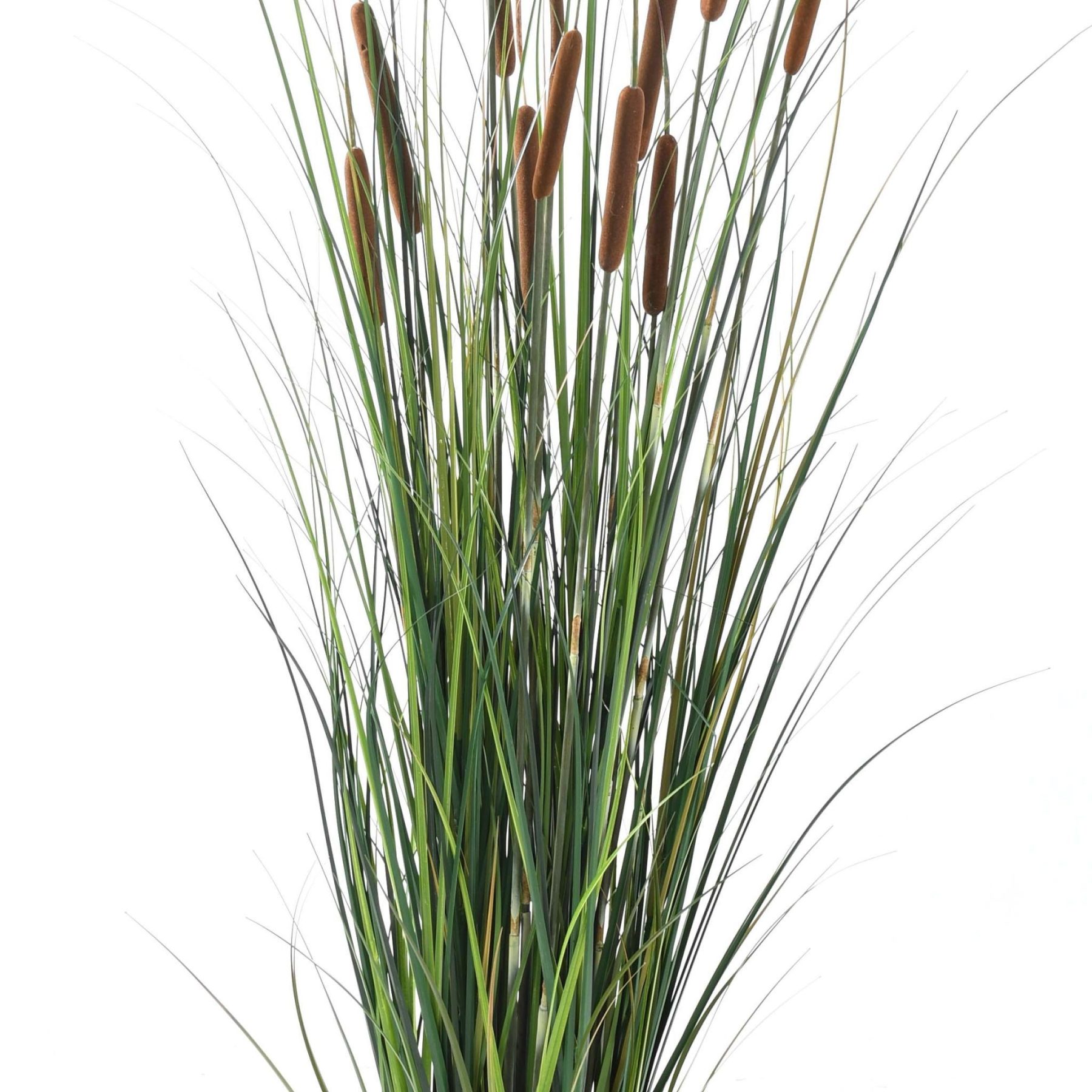 Vue complémentaire : graminée Cattail artificielle verte avec son contenant en PVC