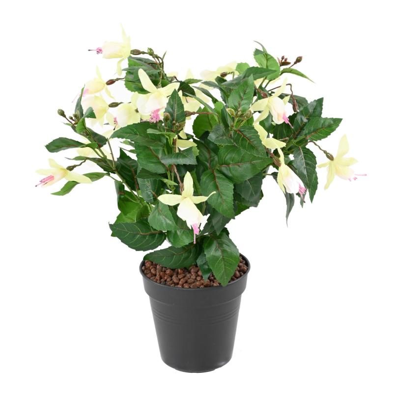 Campanule à fleurs blanches et feuillage vert en tergal