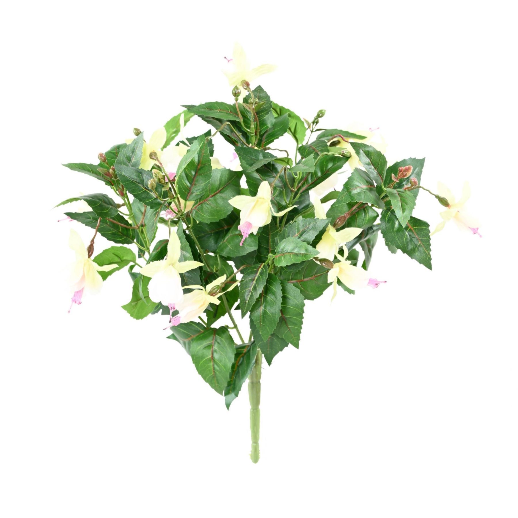 Vue complémentaire : campanule à fleurs blanches et feuillage vert en tergal