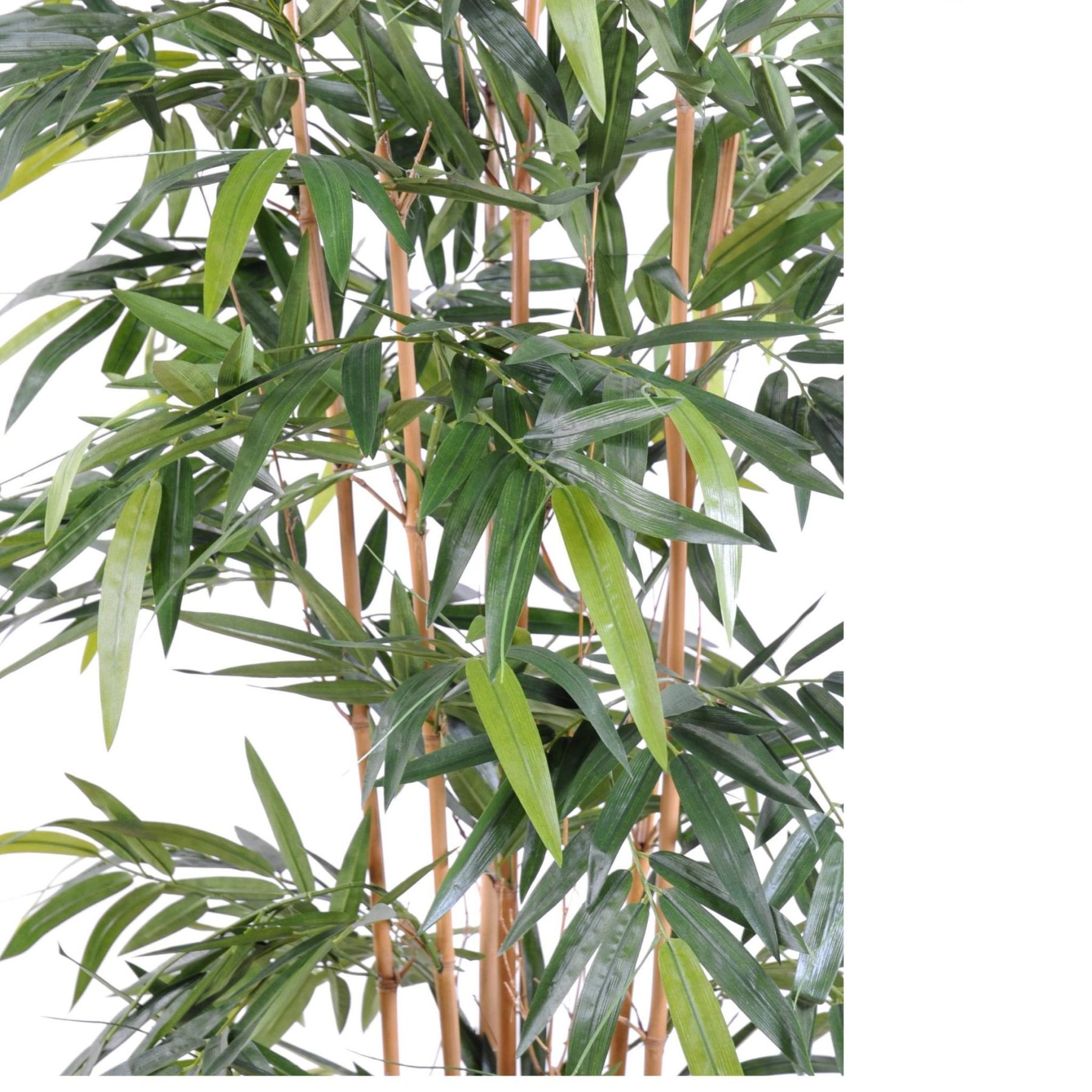 Vue complémentaire : bambou New artificiel vert avec tronc en bois dans un pot en PVC