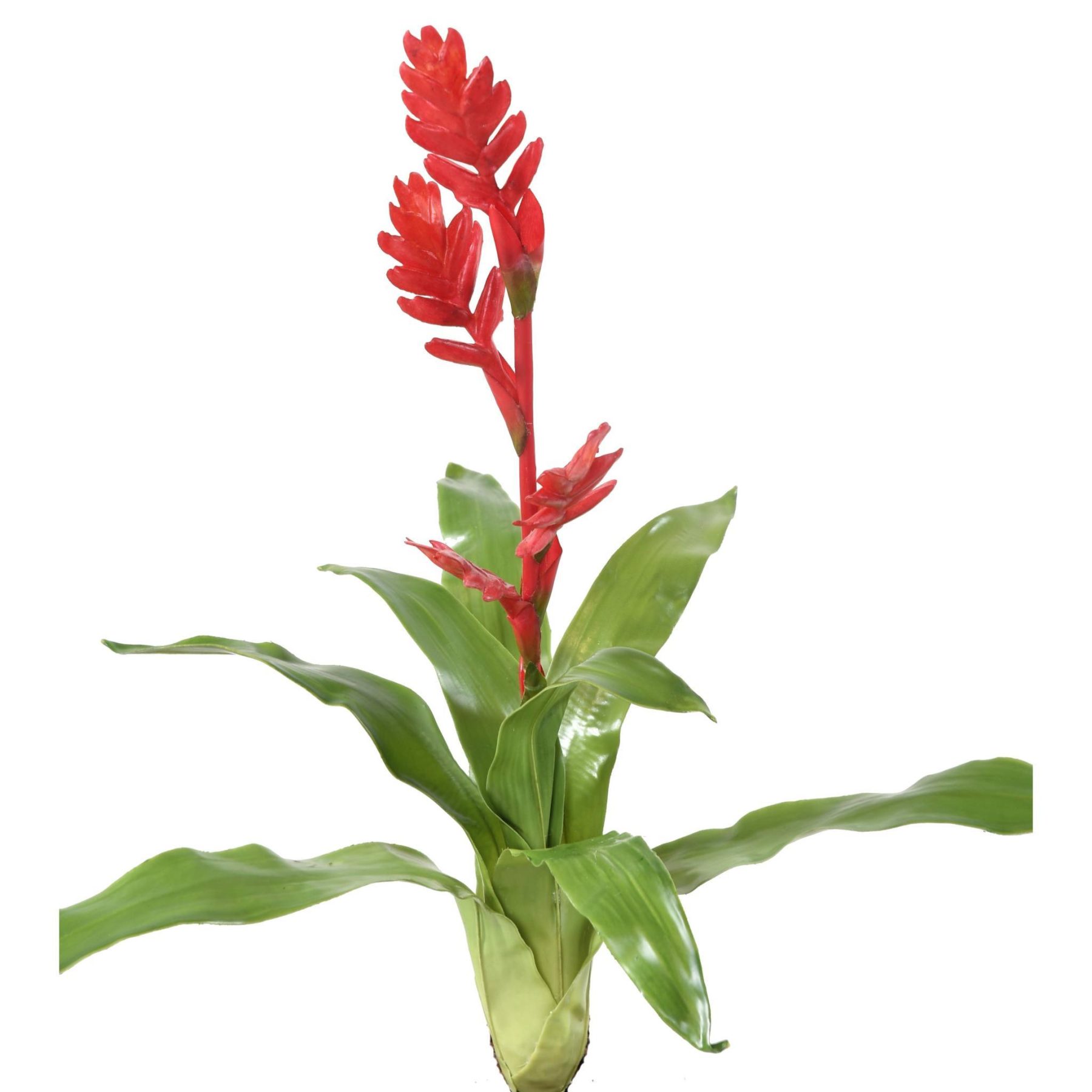 Vue complémentaire : bromélia artificiel rouge avec fleurs et feuillage en PE