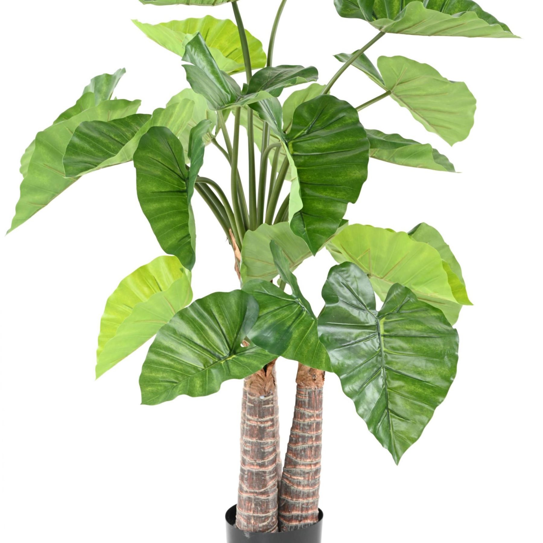 Autre angle : alocasia synthétique de 130 cm sur trois troncs en polyuréthane