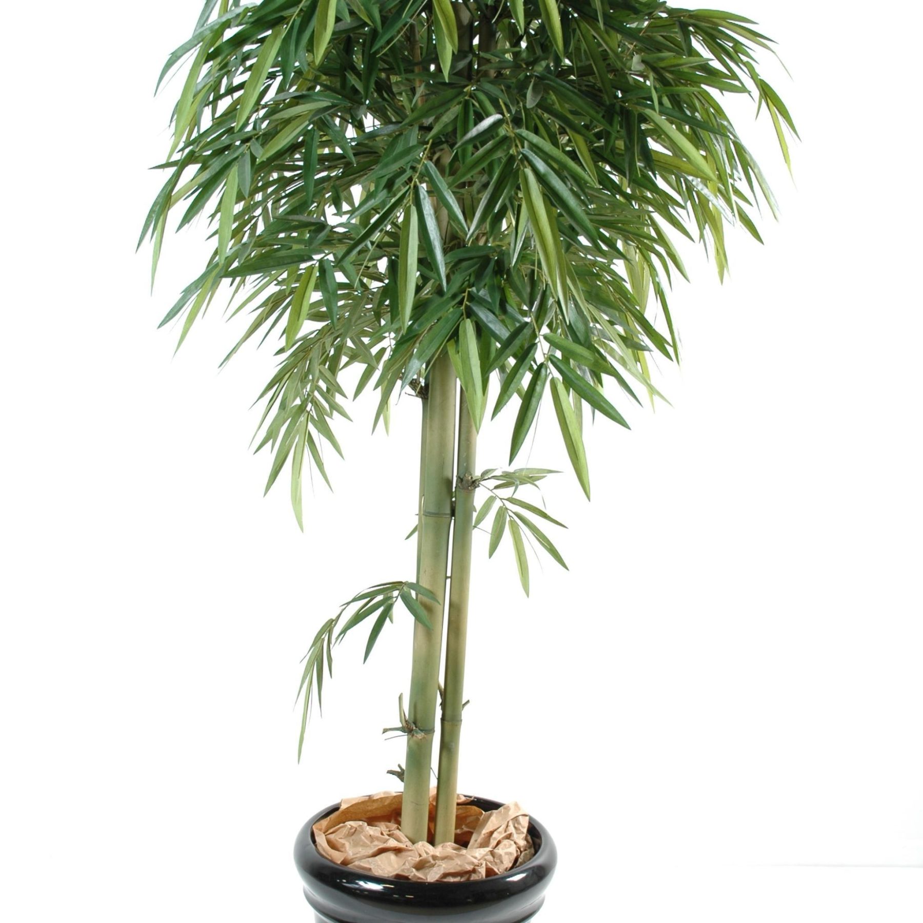 Autre angle : bambou synthétique de 180 cm à trois troncs, largeur 80 cm
