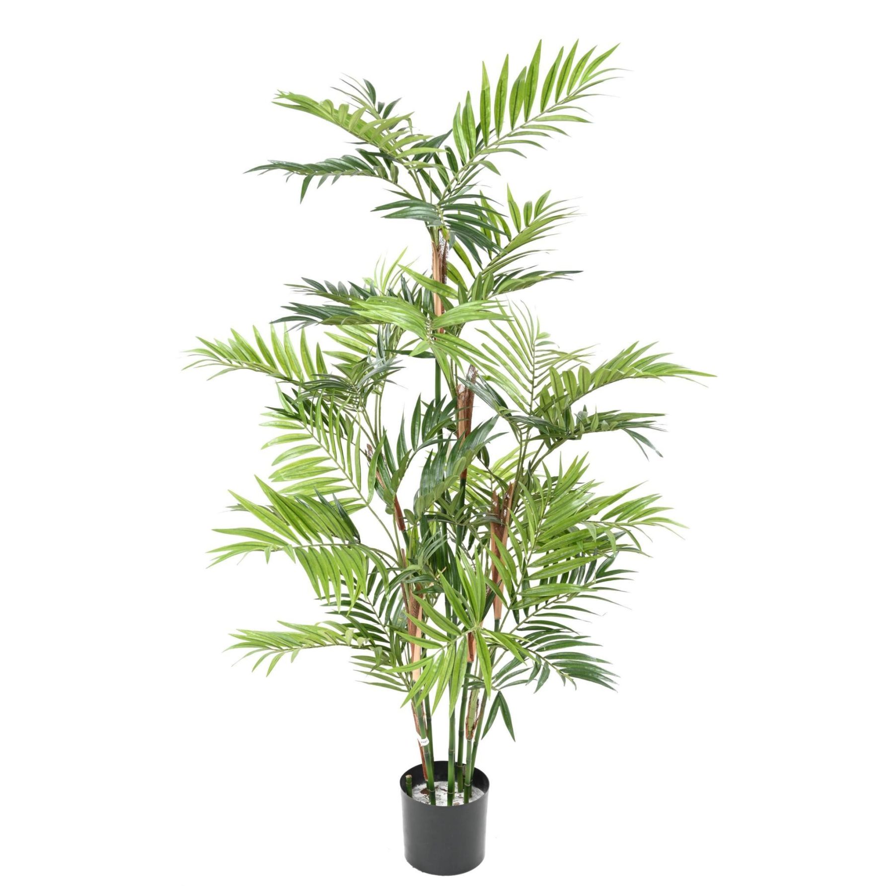 Autre angle : palmier Parlour synthétique de 210 cm sur quinze troncs en bois